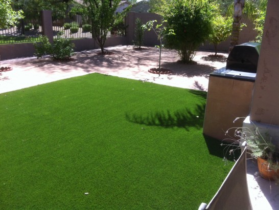 Artificial Grass Photos: Installing Artificial Grass Hartley, California Dog Running, Beautiful Backyards