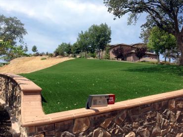 Artificial Grass Photos: Installing Artificial Grass Jackson, California Landscape Design, Landscaping Ideas For Front Yard