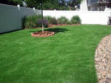 Artificial Grass Photos: Installing Artificial Grass Morgan Hill, California Landscape Photos, Backyard Ideas