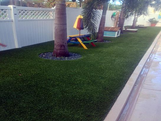 Artificial Grass Photos: Installing Artificial Grass Seacliff, California Garden Ideas, Beautiful Backyards