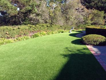 Artificial Grass Photos: Installing Artificial Grass Volta, California Rooftop, Front Yard Landscape Ideas