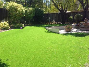 Artificial Grass Photos: Lawn Services Alamo, California Backyard Deck Ideas, Backyard