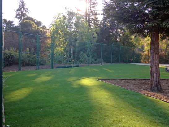 Artificial Grass Photos: Lawn Services Aromas, California Landscaping Business, Recreational Areas