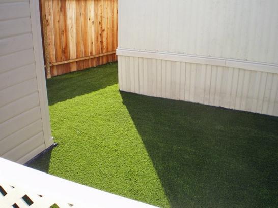 Artificial Grass Photos: Lawn Services Bay Point, California Pet Turf, Backyard Garden Ideas