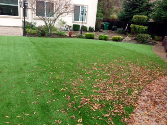 Artificial Grass Photos: Lawn Services Cherryland, California Lawns, Backyards