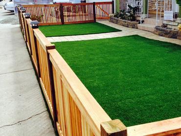 Artificial Grass Photos: Lawn Services Fulton, California Garden Ideas, Front Yard Landscaping Ideas