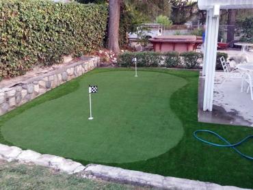 Artificial Grass Photos: Lawn Services Loomis, California Office Putting Green, Backyard Landscaping Ideas