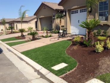 Artificial Grass Photos: Lawn Services Marin City, California Landscape Photos, Front Yard