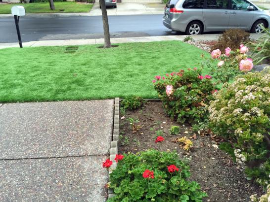 Artificial Grass Photos: Lawn Services Marina, California Cat Grass, Front Yard Landscaping