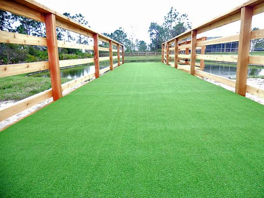 Artificial Grass Photos: Lawn Services Newcastle, California Dog Parks, Commercial Landscape