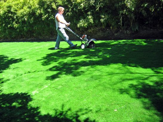 Artificial Grass Photos: Lawn Services North Auburn, California Garden Ideas, Backyard Landscaping Ideas