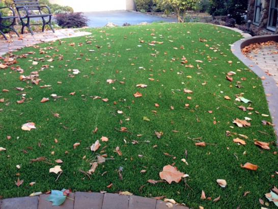 Artificial Grass Photos: Lawn Services Pescadero, California Paver Patio, Front Yard Ideas