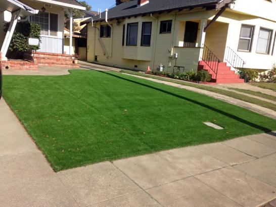 Artificial Grass Photos: Lawn Services Piedmont, California City Landscape, Front Yard Ideas