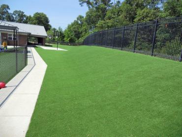 Artificial Grass Photos: Lawn Services Ripon, California Landscaping, Commercial Landscape