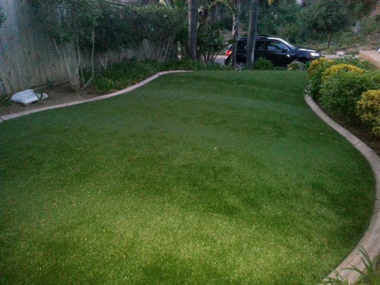 Artificial Grass Photos: Lawn Services Valley Springs, California Lawns, Front Yard
