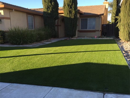 Artificial Grass Photos: Outdoor Carpet Collierville, California Lawns, Front Yard Design