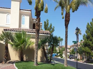 Artificial Grass Photos: Outdoor Carpet Cressey, California Roof Top, Front Yard