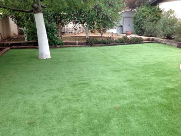 Artificial Grass Photos: Outdoor Carpet Drytown, California Design Ideas, Small Backyard Ideas