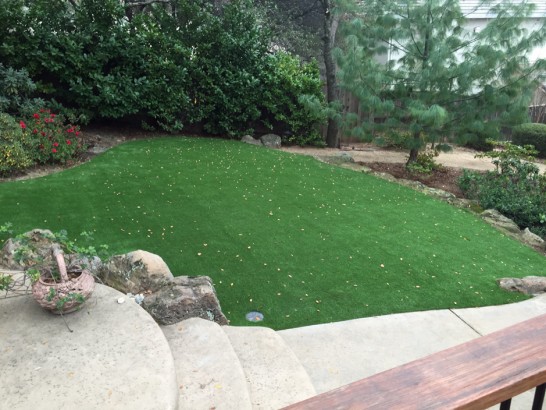 Artificial Grass Photos: Outdoor Carpet Elmira, California Backyard Deck Ideas, Backyard Landscape Ideas