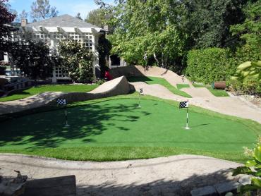 Artificial Grass Photos: Outdoor Carpet Forest Meadows, California Landscape Design, Backyards