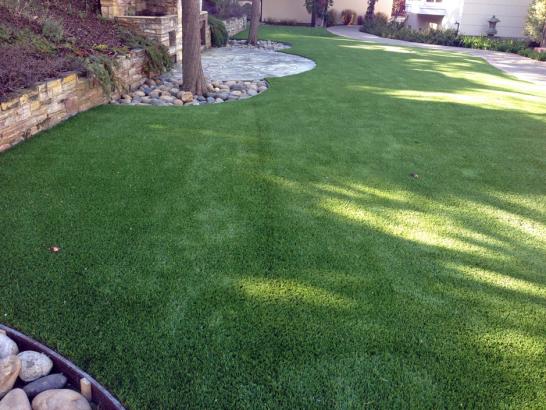 Artificial Grass Photos: Outdoor Carpet Fremont, California Cat Playground, Backyards