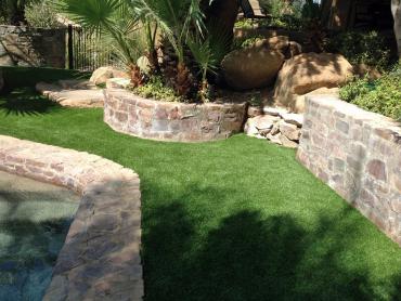 Artificial Grass Photos: Outdoor Carpet Guinda, California Artificial Grass For Dogs, Backyard Designs