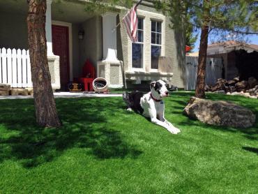 Artificial Grass Photos: Outdoor Carpet Livingston, California Dog Park, Dogs