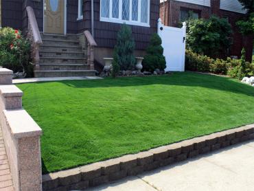 Artificial Grass Photos: Outdoor Carpet Lucas Valley-Marinwood, California Paver Patio, Landscaping Ideas For Front Yard