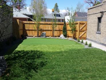 Artificial Grass Photos: Outdoor Carpet Montara, California Backyard Deck Ideas, Backyard Landscaping Ideas