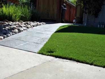 Artificial Grass Photos: Outdoor Carpet Parkwood, California Design Ideas, Front Yard Landscape Ideas