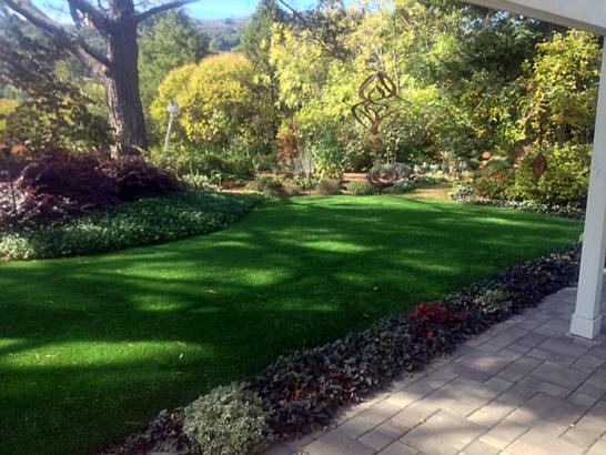 Artificial Grass Photos: Outdoor Carpet Pleasanton, California Paver Patio, Backyard Garden Ideas