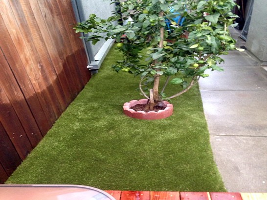 Artificial Grass Photos: Outdoor Carpet Sleepy Hollow, California Hotel For Dogs, Backyard Garden Ideas