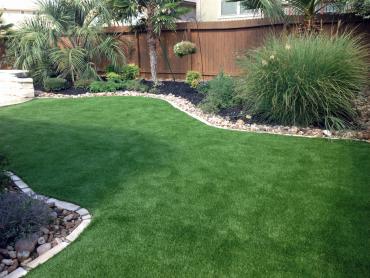 Artificial Grass Photos: Outdoor Carpet Snelling, California Dog Hospital, Small Backyard Ideas
