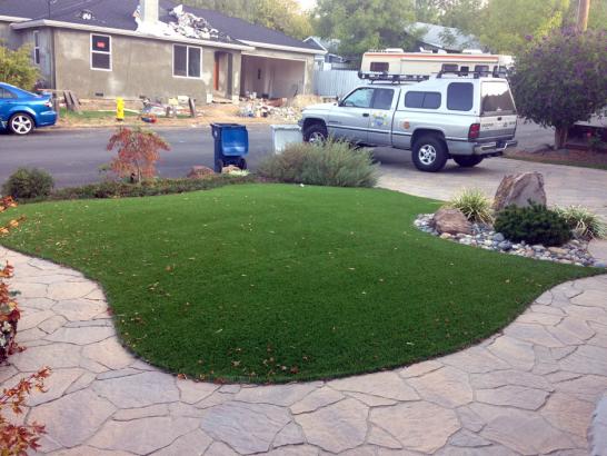 Artificial Grass Photos: Outdoor Carpet Stanford, California Rooftop, Front Yard Landscaping