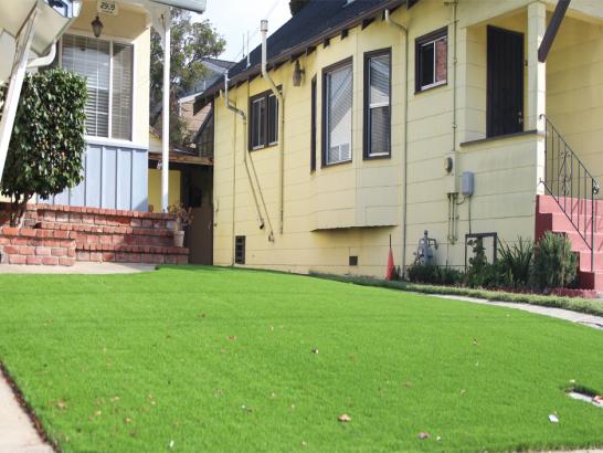 Artificial Grass Photos: Outdoor Carpet Vine Hill, California Home And Garden, Front Yard Ideas