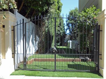 Artificial Grass Photos: Outdoor Carpet Winters, California Landscape Ideas, Landscaping Ideas For Front Yard