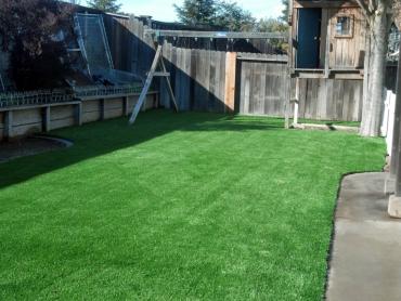 Artificial Grass Photos: Outdoor Carpet Yolo, California Lawn And Landscape, Backyard Landscaping