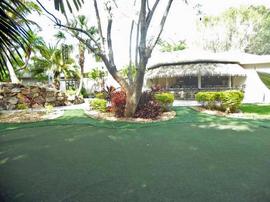 Artificial Grass Photos: Plastic Grass Albany, California Putting Greens, Commercial Landscape