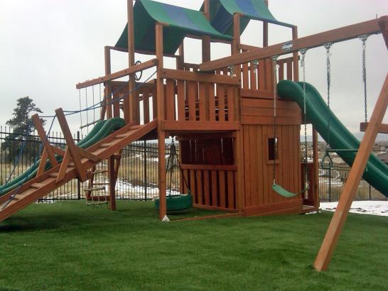 Artificial Grass Photos: Plastic Grass Alto, California Indoor Playground