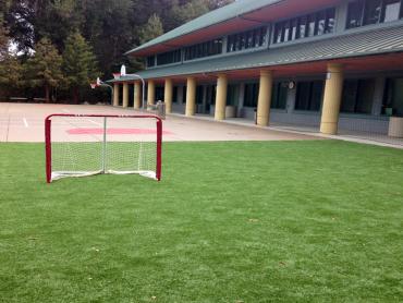 Artificial Grass Photos: Plastic Grass Bloomfield, California Bocce Ball Court, Commercial Landscape