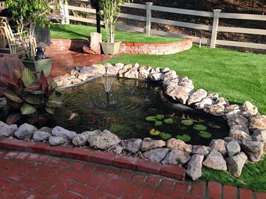 Artificial Grass Photos: Plastic Grass Byron, California Home And Garden, Swimming Pool Designs