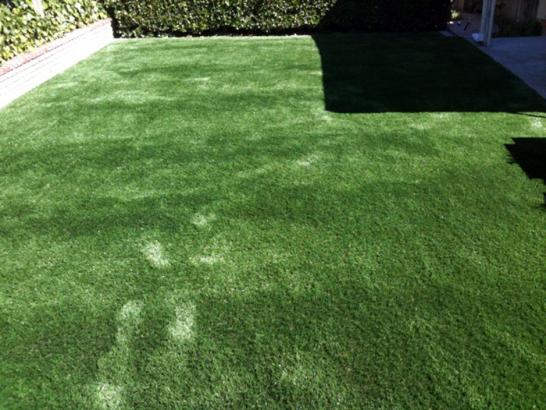 Artificial Grass Photos: Plastic Grass Cambrian Park, California Landscape Photos, Backyard Garden Ideas