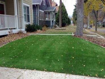 Artificial Grass Photos: Plastic Grass Carmel-by-the-Sea, California City Landscape, Landscaping Ideas For Front Yard