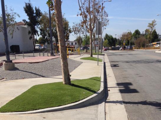 Artificial Grass Photos: Plastic Grass Davenport, California Lawn And Garden, Commercial Landscape