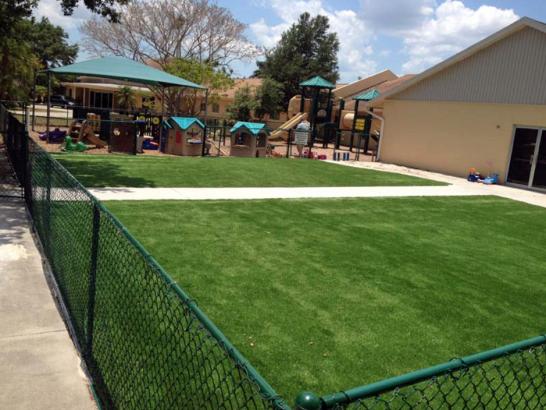 Artificial Grass Photos: Plastic Grass El Cerrito, California Paver Patio, Commercial Landscape