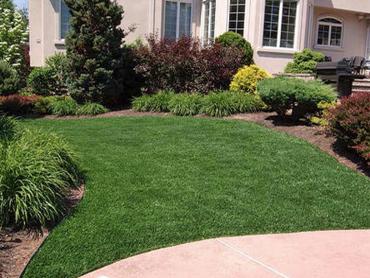 Artificial Grass Photos: Plastic Grass Lafayette, California Lawns, Landscaping Ideas For Front Yard