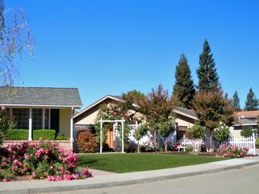 Artificial Grass Photos: Plastic Grass Long Barn, California Gardeners, Front Yard Landscaping