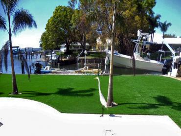 Artificial Grass Photos: Plastic Grass Newark, California Landscape Design, Beautiful Backyards