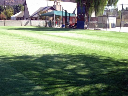 Artificial Grass Photos: Plastic Grass Portola Valley, California Landscaping, Parks