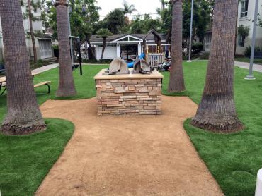 Artificial Grass Photos: Plastic Grass San Ramon, California, Commercial Landscape